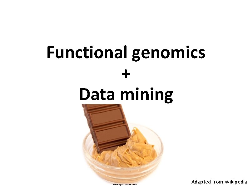 Functional genomics + Data mining www. sparkpeople. com Adapted from Wikipedia 