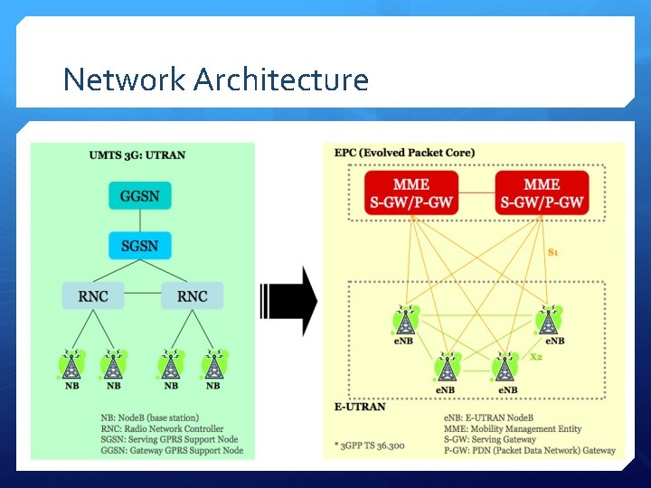 Network Architecture 