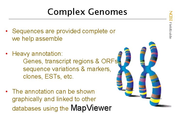  • Sequences are provided complete or we help assemble • Heavy annotation: Genes,