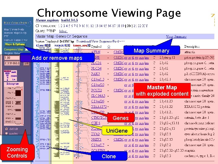 Map Summary Add or remove maps Master Map with exploded content Genes Uni. Gene