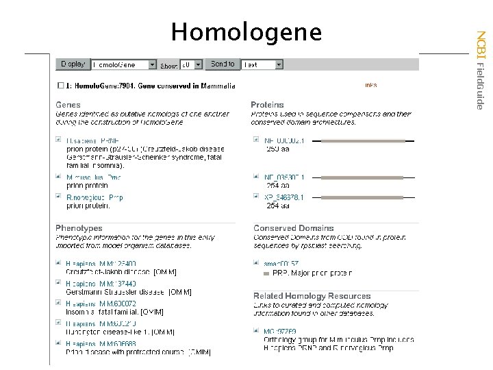 NCBI Field. Guide Homologene 