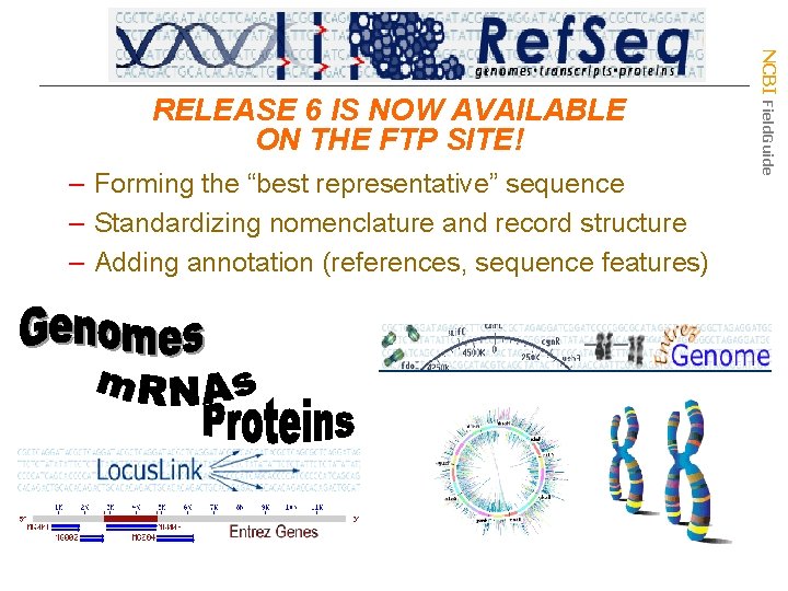 – Forming the “best representative” sequence – Standardizing nomenclature and record structure – Adding