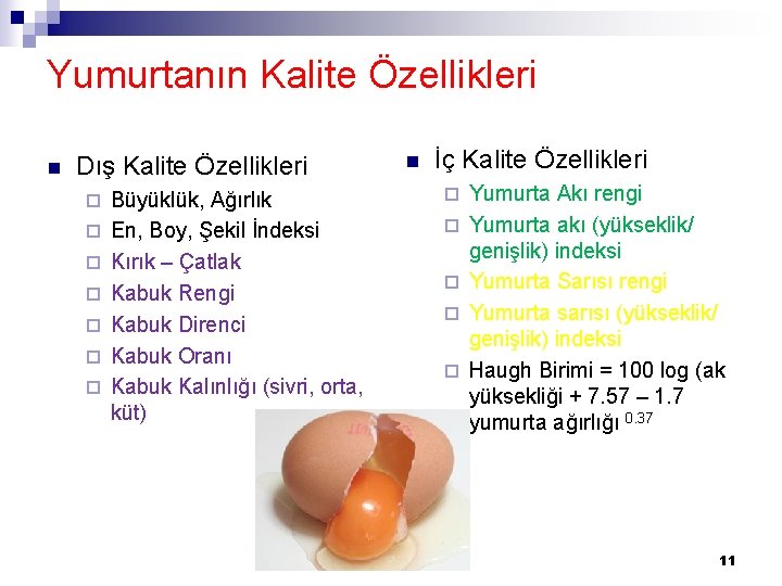 Yumurtanın Kalite Özellikleri n Dış Kalite Özellikleri ¨ ¨ ¨ ¨ Büyüklük, Ağırlık En,