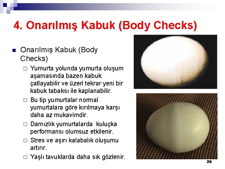 4. Onarılmış Kabuk (Body Checks) n Onarılmış Kabuk (Body Checks) ¨ ¨ ¨ Yumurta