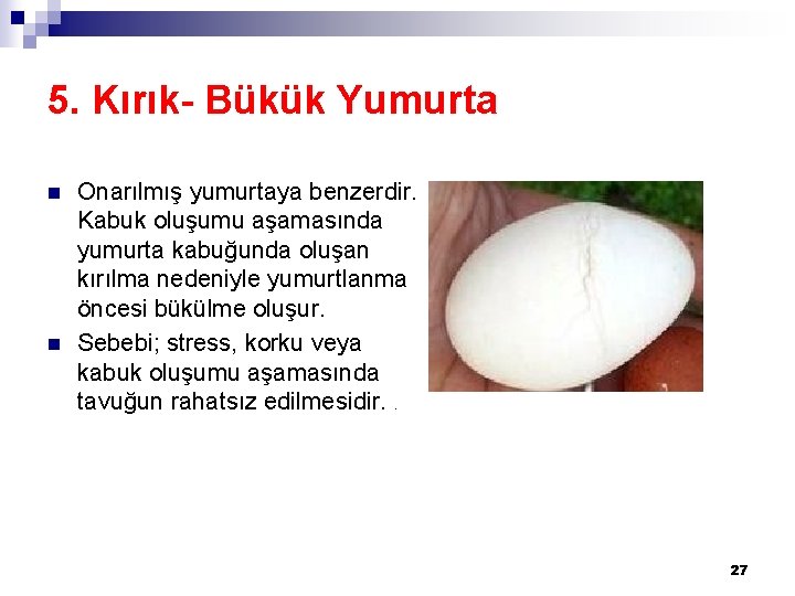 5. Kırık- Bükük Yumurta n n Onarılmış yumurtaya benzerdir. Kabuk oluşumu aşamasında yumurta kabuğunda