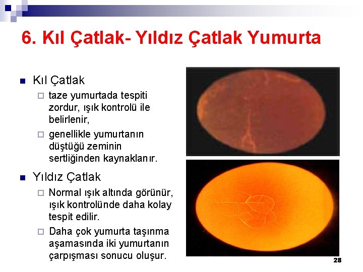 6. Kıl Çatlak- Yıldız Çatlak Yumurta n Kıl Çatlak taze yumurtada tespiti zordur, ışık