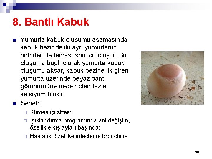 8. Bantlı Kabuk n n Yumurta kabuk oluşumu aşamasında kabuk bezinde iki ayrı yumurtanın