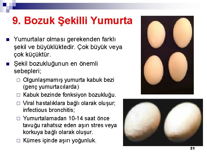 9. Bozuk Şekilli Yumurta n n Yumurtalar olması gerekenden farklı şekil ve büyüklüktedir. Çok