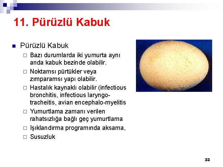 11. Pürüzlü Kabuk n Pürüzlü Kabuk ¨ ¨ ¨ Bazı durumlarda iki yumurta aynı