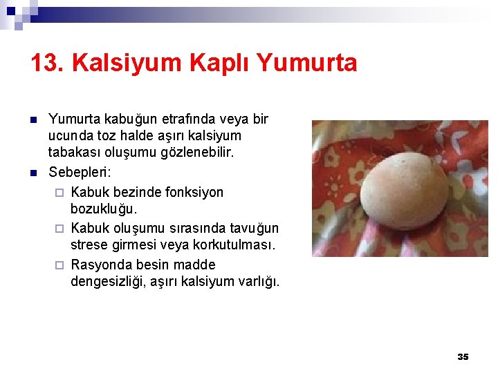 13. Kalsiyum Kaplı Yumurta n n Yumurta kabuğun etrafında veya bir ucunda toz halde