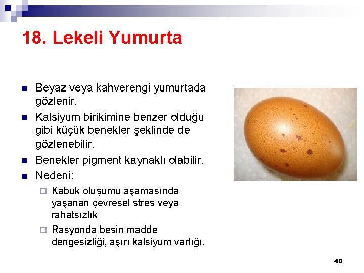 18. Lekeli Yumurta n n Beyaz veya kahverengi yumurtada gözlenir. Kalsiyum birikimine benzer olduğu