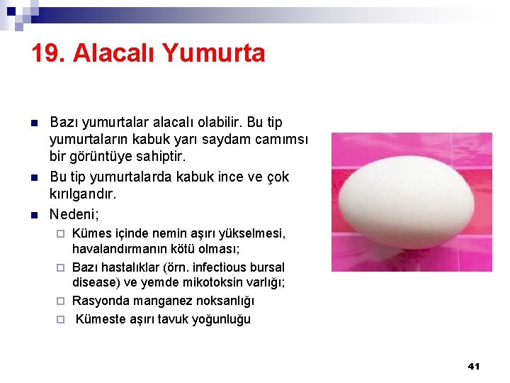 19. Alacalı Yumurta n n n Bazı yumurtalar alacalı olabilir. Bu tip yumurtaların kabuk