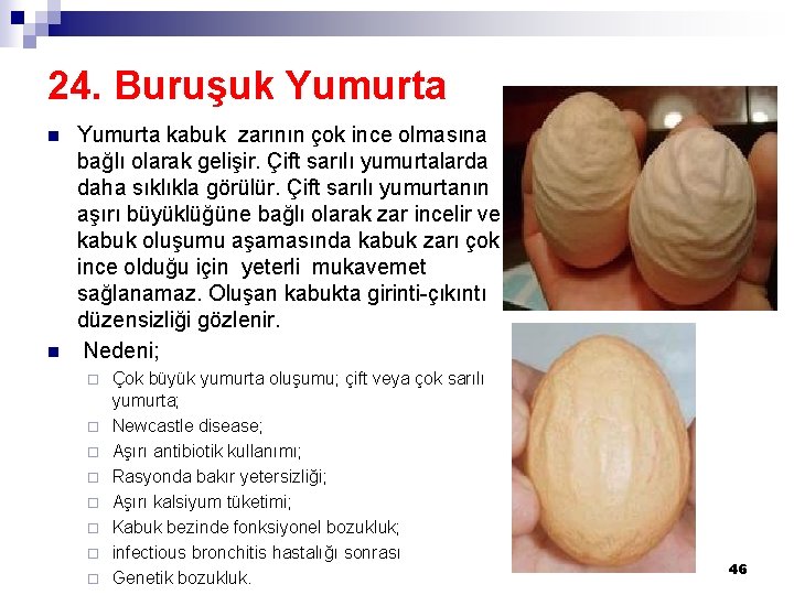 24. Buruşuk Yumurta n n Yumurta kabuk zarının çok ince olmasına bağlı olarak gelişir.