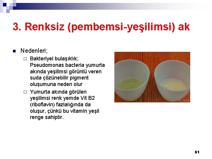 3. Renksiz (pembemsi-yeşilimsi) ak n Nedenleri; Bakteriyel bulaşıklık; Pseudomonas bacteria yumurta akında yeşilimsi görüntü