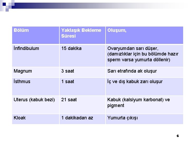 Bölüm Yaklaşık Bekleme Süresi Oluşum, İnfindibulum 15 dakika Ovaryumdan sarı düşer, (damızlıklar için bu