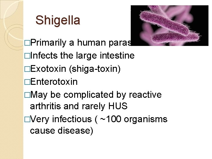 Shigella �Primarily a human parasite �Infects the large intestine �Exotoxin (shiga-toxin) �Enterotoxin �May be