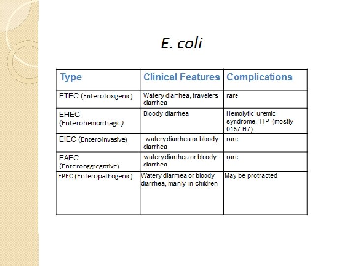 E. coli 