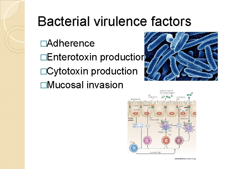 Bacterial virulence factors �Adherence �Enterotoxin production �Cytotoxin production �Mucosal invasion 