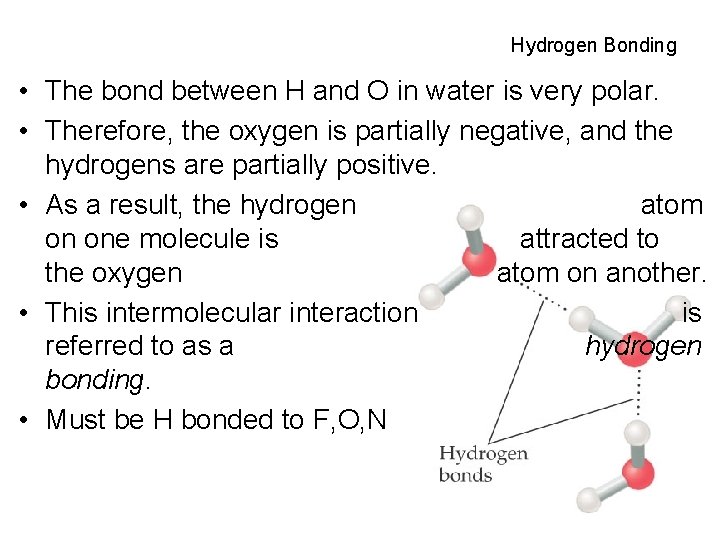 Hydrogen Bonding • The bond between H and O in water is very polar.