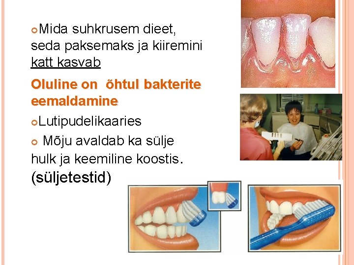 Mida suhkrusem dieet, seda paksemaks ja kiiremini katt kasvab Oluline on õhtul bakterite eemaldamine