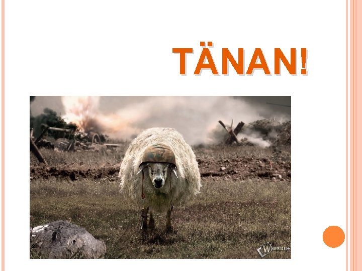 TÄNAN! 