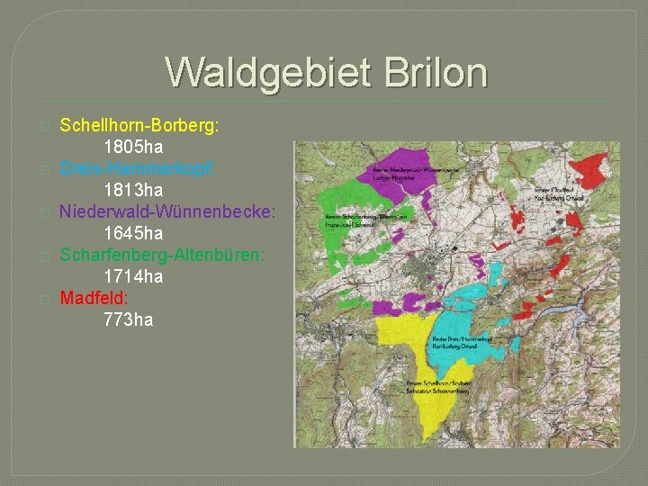 Waldgebiet Brilon � � � Schellhorn-Borberg: 1805 ha Dreis-Hammerkopf: 1813 ha Niederwald-Wünnenbecke: 1645 ha