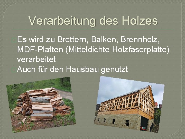 Verarbeitung des Holzes �Es wird zu Brettern, Balken, Brennholz, MDF-Platten (Mitteldichte Holzfaserplatte) verarbeitet �Auch
