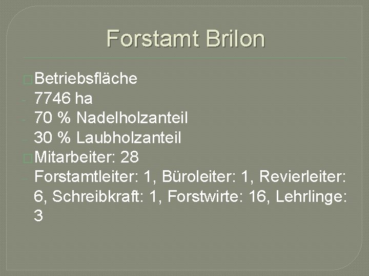 Forstamt Brilon �Betriebsfläche 7746 ha - 70 % Nadelholzanteil - 30 % Laubholzanteil �Mitarbeiter: