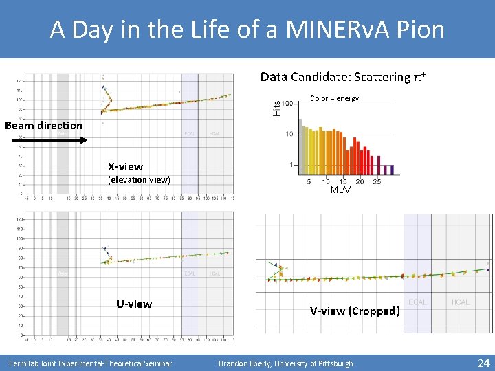 A Day in the Life of a MINERv. A Pion Data Candidate: Scattering π+