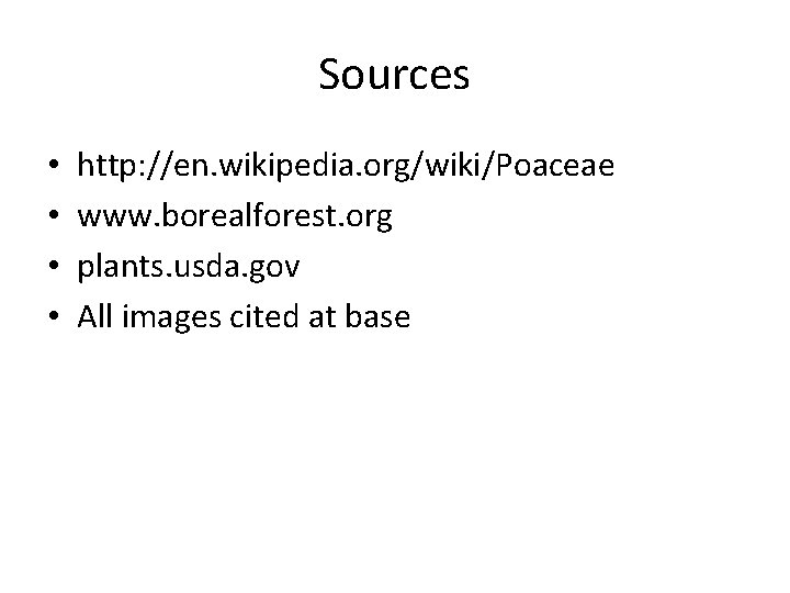 Sources • • http: //en. wikipedia. org/wiki/Poaceae www. borealforest. org plants. usda. gov All