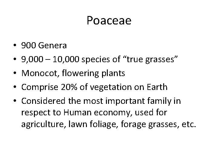 Poaceae • • • 900 Genera 9, 000 – 10, 000 species of “true