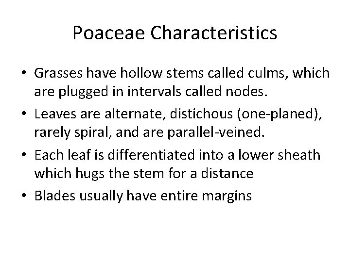 Poaceae Characteristics • Grasses have hollow stems called culms, which are plugged in intervals