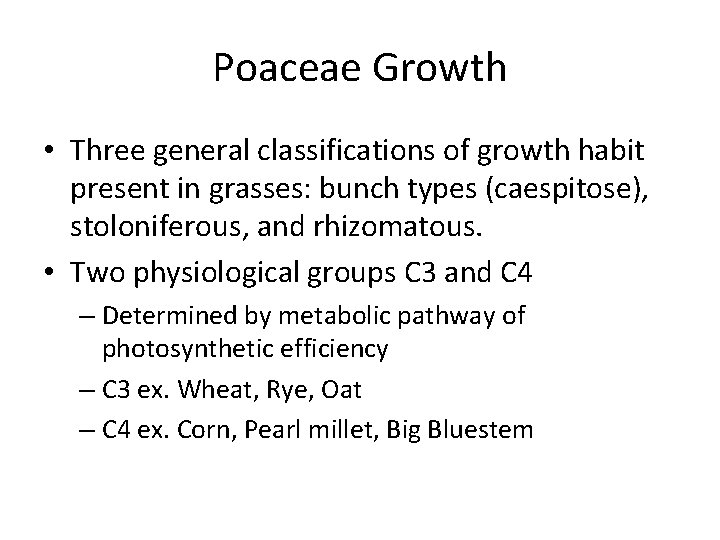 Poaceae Growth • Three general classifications of growth habit present in grasses: bunch types