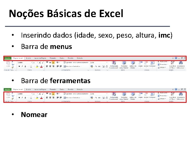 Noções Básicas de Excel • Inserindo dados (idade, sexo, peso, altura, imc) • Barra