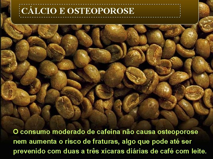 CÁLCIO E OSTEOPOROSE O consumo moderado de cafeína não causa osteoporose nem aumenta o