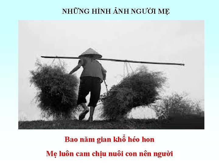 NHỮNG HÌNH ẢNH NGƯỜI MẸ Bao năm gian khổ héo hon Mẹ luôn cam