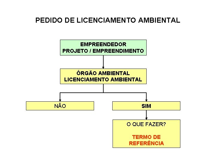 PEDIDO DE LICENCIAMENTO AMBIENTAL EMPREENDEDOR PROJETO / EMPREENDIMENTO ÓRGÃO AMBIENTAL LICENCIAMENTO AMBIENTAL NÃO SIM