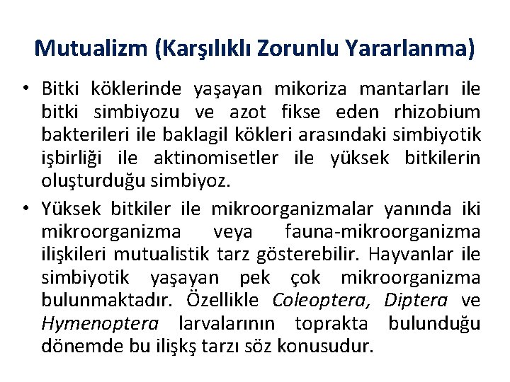 Mutualizm (Karşılıklı Zorunlu Yararlanma) • Bitki köklerinde yaşayan mikoriza mantarları ile bitki simbiyozu ve