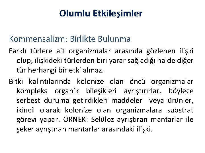 Olumlu Etkileşimler Kommensalizm: Birlikte Bulunma Farklı türlere ait organizmalar arasında gözlenen ilişki olup, ilişkideki