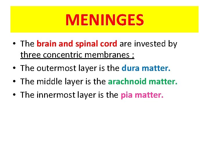 MENINGES • The brain and spinal cord are invested by three concentric membranes ;