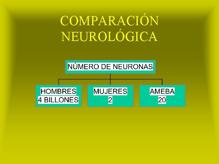 COMPARACIÓN NEUROLÓGICA 