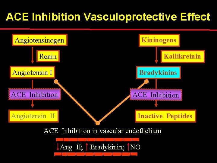 ACE Inhibition Vasculoprotective Effect Kininogens Angiotensinogen Kallikreinin Renin Bradykinins Angiotensin I ACE Inhibition Inactive