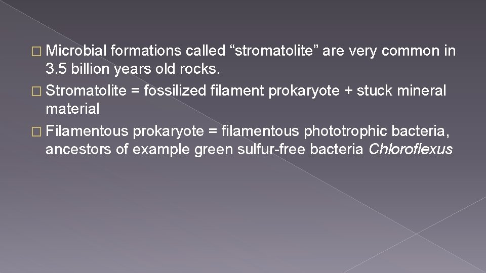 � Microbial formations called “stromatolite” are very common in 3. 5 billion years old