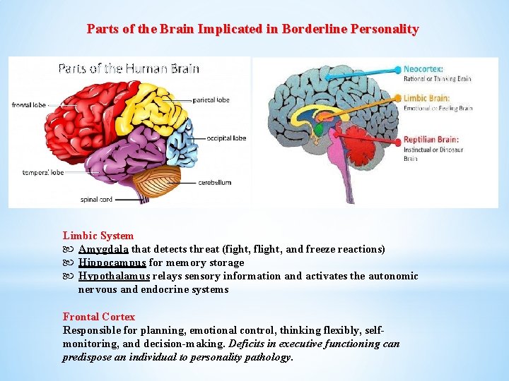 Parts of the Brain Implicated in Borderline Personality Limbic System Amygdala that detects threat