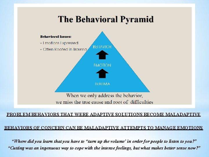 PROBLEM BEHAVIORS THAT WERE ADAPTIVE SOLUTIONS BECOME MALADAPTIVE BEHAVIORS OF CONCERN CAN BE MALADAPTIVE
