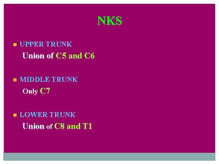 NKS UPPER TRUNK Union of C 5 and C 6 MIDDLE TRUNK Only C