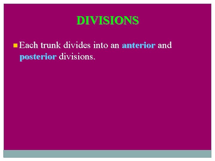 DIVISIONS Each trunk divides into an posterior divisions. anterior and 