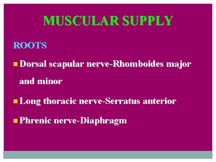 MUSCULAR SUPPLY ROOTS Dorsal scapular nerve-Rhomboides major and minor Long thoracic nerve-Serratus anterior Phrenic