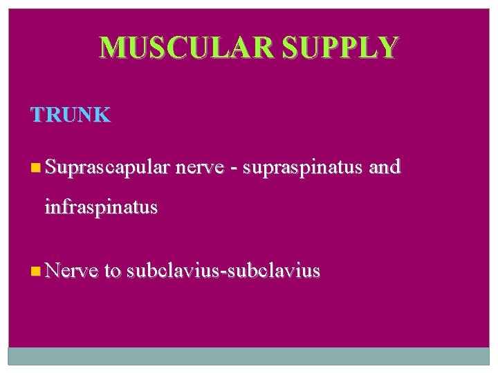 MUSCULAR SUPPLY TRUNK Suprascapular nerve - supraspinatus and infraspinatus Nerve to subclavius-subclavius 