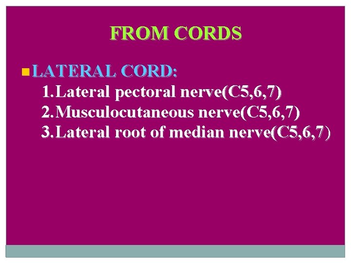 FROM CORDS LATERAL CORD: 1. Lateral pectoral nerve(C 5, 6, 7) 2. Musculocutaneous nerve(C